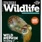 Irish Wildlife Trust