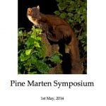 Irish Pine Marten Symposium 2014