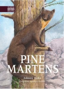 Pine marten by Johnny Birks